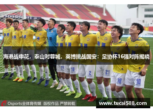 海港战申花，泰山对蓉城，英博挑战国安：足协杯16强对阵揭晓